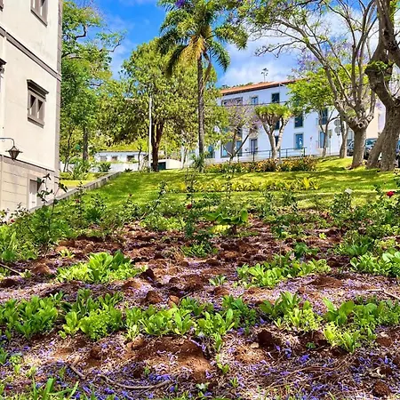 Amazing Sea Light Apartment, Close To The Beach. *