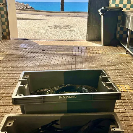 Amazing Sea Light Apartment, Close To The Beach. Διαμέρισμα *