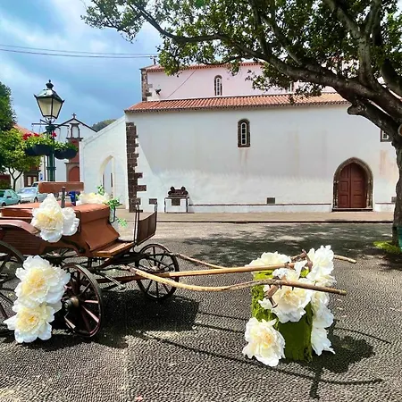 Amazing Sea Light Apartment, Close To The Beach.
