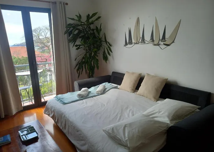 Amazing Sea Light Apartment, Close To The Beach. * サンタ・クルーズ