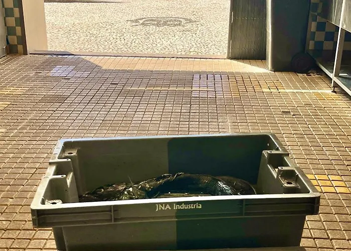 Amazing Sea Light Apartment, Close To The Beach. アパート *